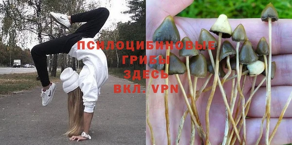 гидропоника Майский