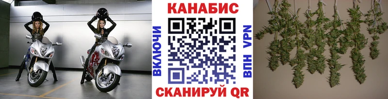 как найти закладки  Сергач  Бошки марихуана индика 